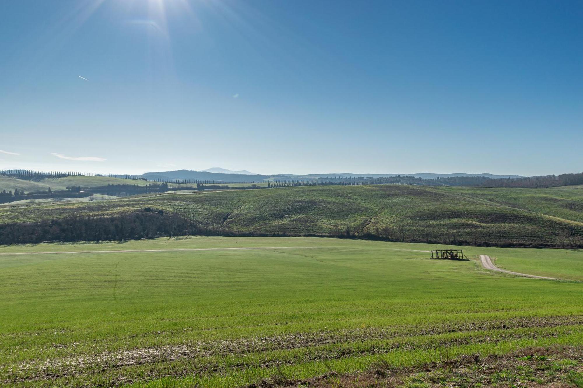 Вилла Sunflower Con Vista Su Siena Корсано Экстерьер фото